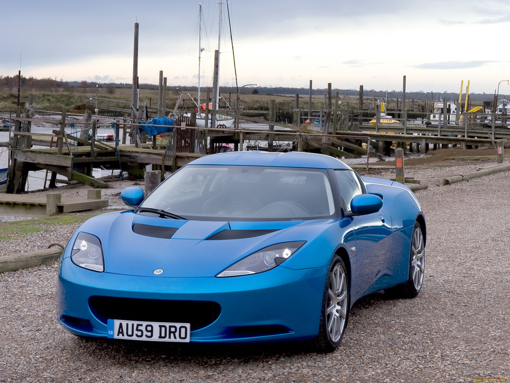 , lotus